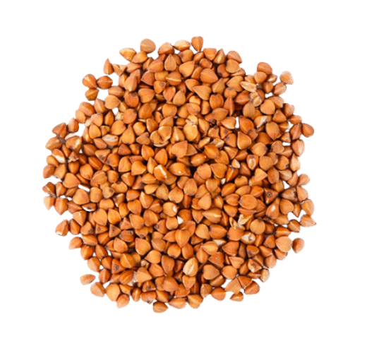 Infusion bio "régal de oobacha" de la marque comptoir français du thé